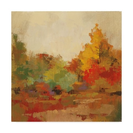 Silvia Vassileva 'Fall Forest Ii' Canvas Art,24x24